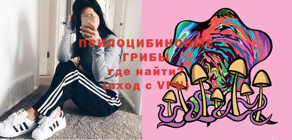 стафф Богородицк