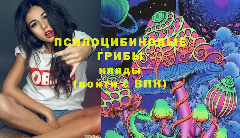 OMG онион  Шилка  Галлюциногенные грибы Psilocybine cubensis 